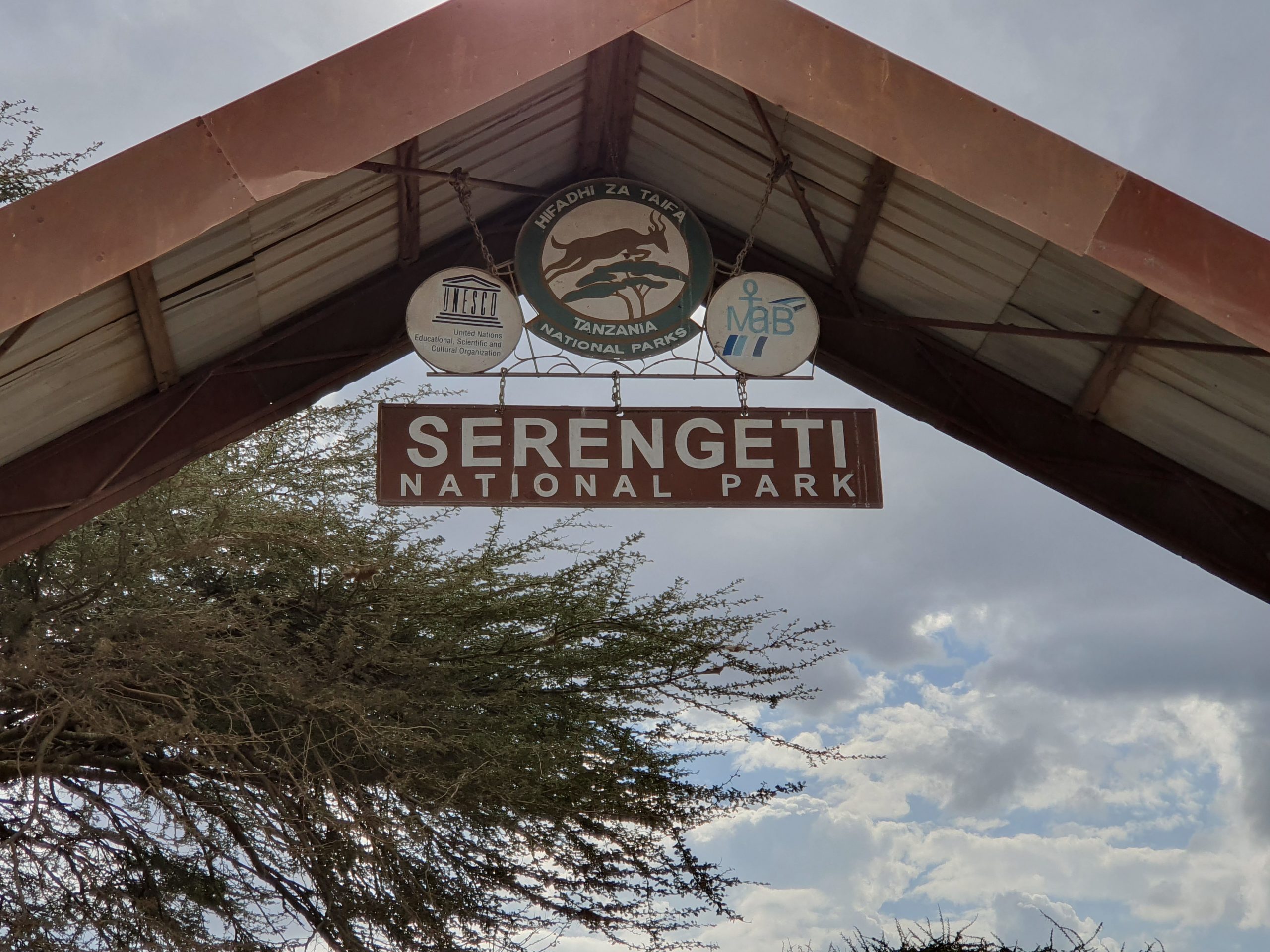 שער הכניסה לשמורת ה- Serengeti באפריקה