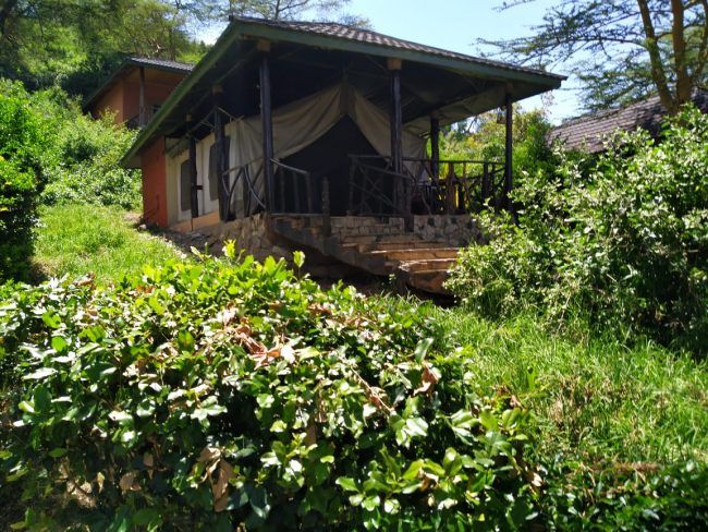 לודג׳ בשמורת הסאפרי בקניה