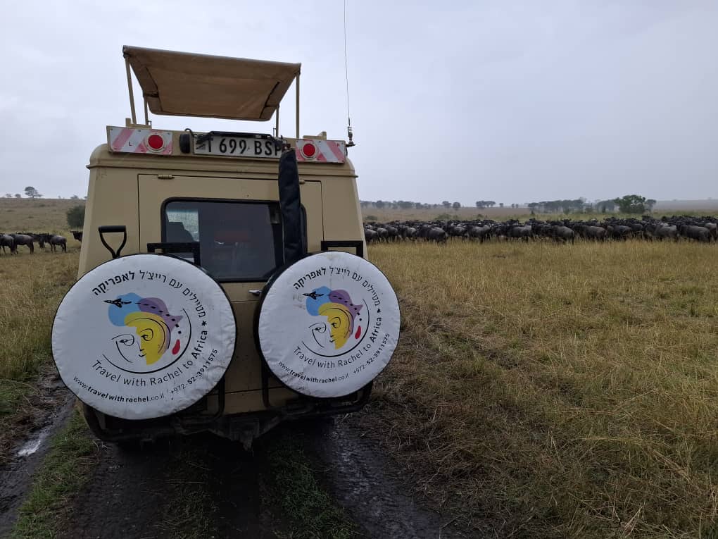 נוף פתוח עם שבילי עפר וג'יפ ספארי בעונת הנדידה
